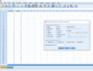 Screenshot of SPSS document